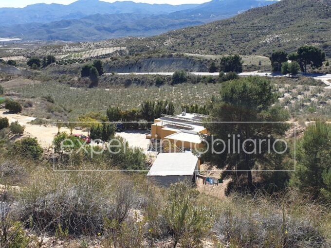 * FINCA EN VENTA (LOS GALLARDOS)