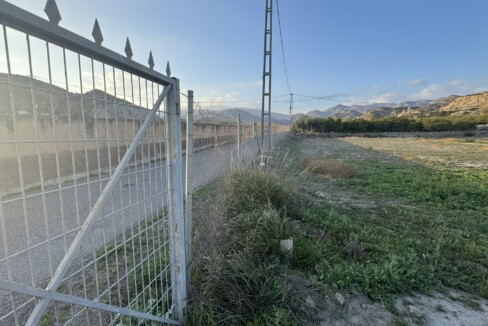 IMG_7450