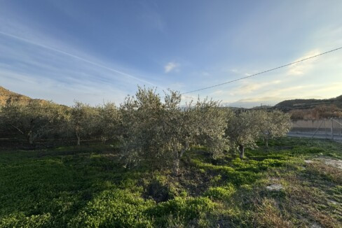 IMG_7452