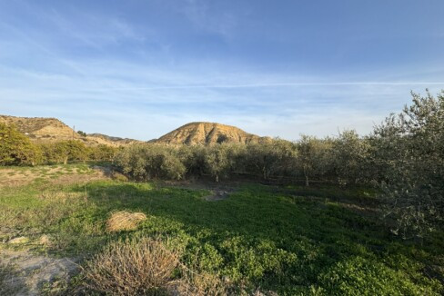 IMG_7453